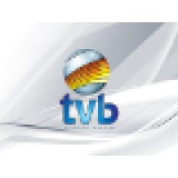 TVB Emissora de Televisão Logo