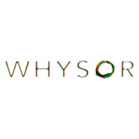Whysor B.V. Logo
