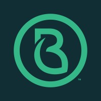 Brandmint Logo