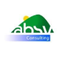 ABSV Consulting Logo