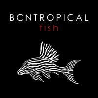 BCN Tropical Fish, S.L. Logo