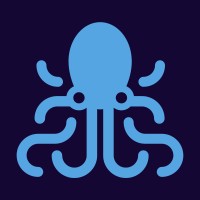 Blueocto® • Bespoke Web Design & Development, WordPress, Shopify, Accessibility & Performance Logo