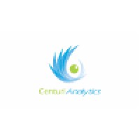 Centuri Analytics Logo