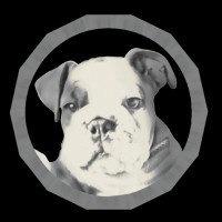 The Boston Realty Group Logo
