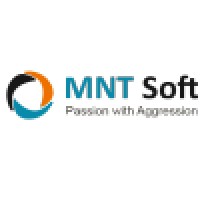 MNT SOFT Logo