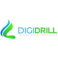 Digital Drilling Data Systems, LLC Logo