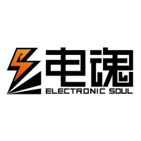 杭州电魂网络科技有限公司 Electronic Soul Logo