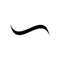 The Flying Dutchmen® Logo