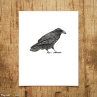 Emma Weisman Illustration and Design Logo