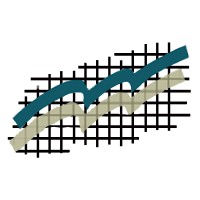The Consulting Team, LLC Logo