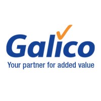 Galico NV Logo