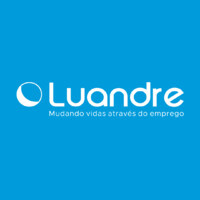 LUANDRE CONSULTORIA Logo