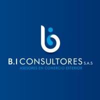 BI Consultores Logo