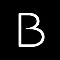 Bjaland Technologies Logo