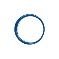 VPCoach Logo