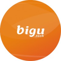 Bigu.tech Logo