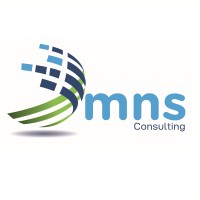 MNS Consulting Group Logo