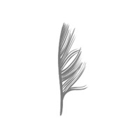 Feather Creative Logo
