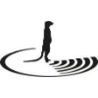 Sensing Clues Logo