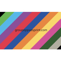 PPA Logo