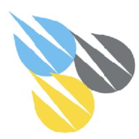 Netwell-Ukraine Logo