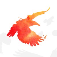 Raven Sun Creative Logo