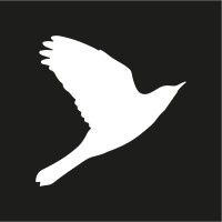 Silver Age Capital Logo