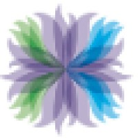 Womens Healthy Environments Network (WHEN) Logo