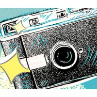 Lemon Snap Picture Services Logo