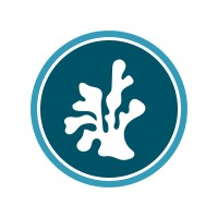 Anntoine Marketing + Design Logo