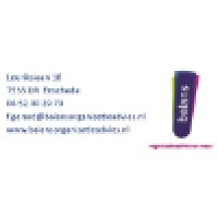 Balans Organisatieadvies Logo