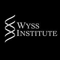 Wyss Institute at Harvard University Logo