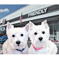 Friendly Kia Logo