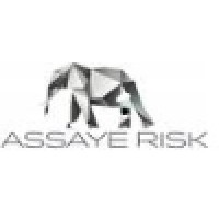 Assaye Risk Logo