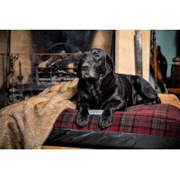 Berkeley Dog Beds Limited Logo