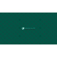 SOAR Physical Therapy Logo
