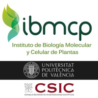 Instituto de Biología Molecular y Celular de Plantas, IBMCP (UPV - CSIC) Logo