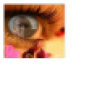 The Eye Logo