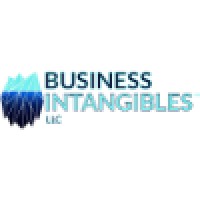 Business Intangibles, LLC Logo
