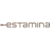 Estamina Consultores Logo