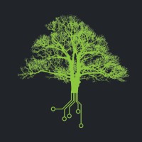 m.five networking services, inc. Logo