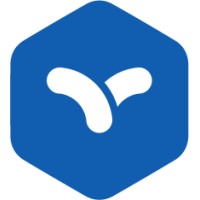 Netsystem Logo