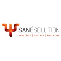 SAnÉ Solution Logo