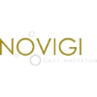 Novigi Daily Innovation Logo