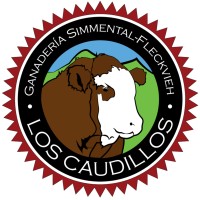 Ganadería Simmental-Fleckvieh Los Caudillos Logo