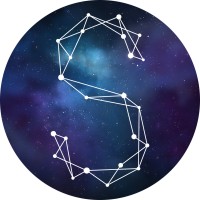 Stellify Media Logo