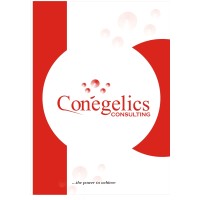 Conegelics Consulting International Ltd Logo
