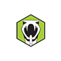 Boomslang Agency Logo