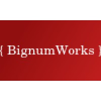 Bignumworks Software LLP Logo