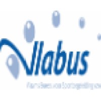 Vlabus Logo